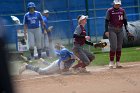 Softball vs Springfield  Wheaton College Softball vs Springfield College. - Photo by: KEITH NORDSTROM : Wheaton, Baseball